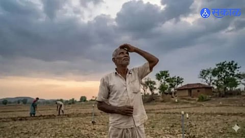Solapur Drought Alert Rainfall Shortfall at 53 Percent With Long Dry Spells Raising Serious Concerns Over Crop Production