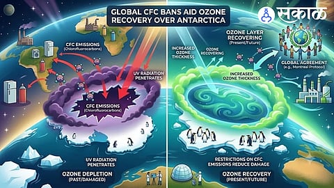 Ozone Layer Recovery