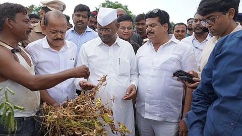 Drought Scorches Kharif Crops Farmers Seek Relief! Guardian Minister Narhari Zirwal Inspects Crop Damage