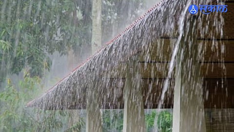 Gauri Festival Weather Update Heavy Rain Brings Relief to Farmers Light Showers Likely Across Maharashtra Till September 20
