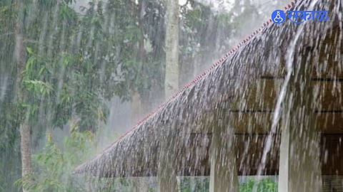 Parli Rain Update Sirsala Records 112 Mm Gade Pimpalgaon 107 Mm As Heavy Rain Brings Relief To Farmers And Crops