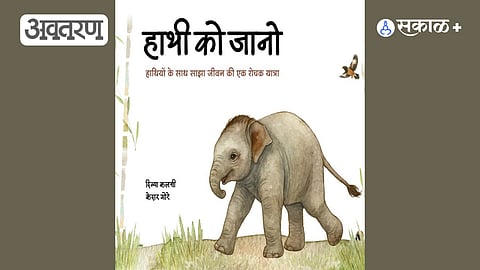 Understanding Elephants and Coexistence