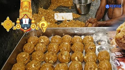 तिरुपतीच्या लाडूसाठी ९६ कोटींच्या भेसळयुक्त तुपाचा वापर, कंपनीच्या मालकाला ईडीने केली अटक