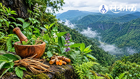 Rare Medicinal Plants in Ajra Amboli