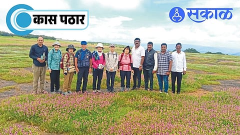 Kas Plateau Flowers 2026