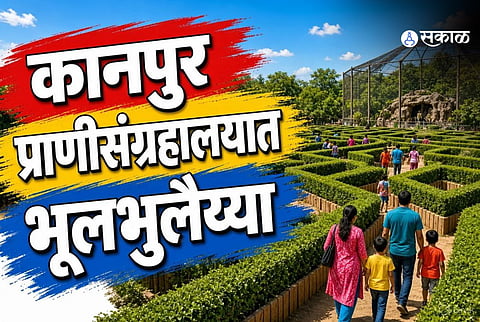 Kanpur Zoo Maze 