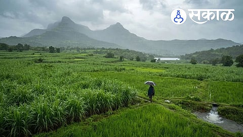 Maharashtra Weather Update