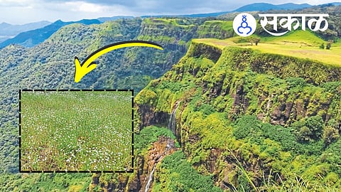 Naikwadi Waterfalls Tourism