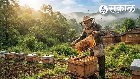 Kolhapur Honey Production News