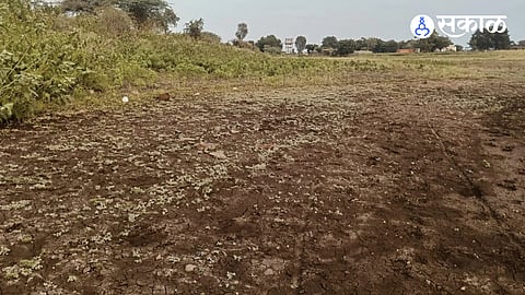 Water Scarcity issue