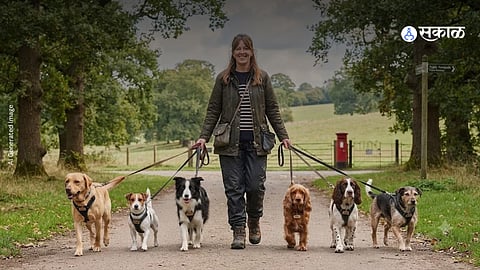 How Liz East Started Her Dog-Walking Business