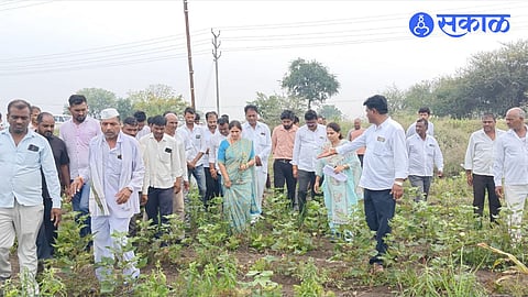 MLA Sanjana Jadhav with farmer
