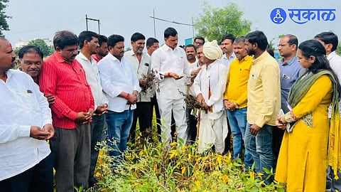 mla narayan kuche watching agrciulture loss