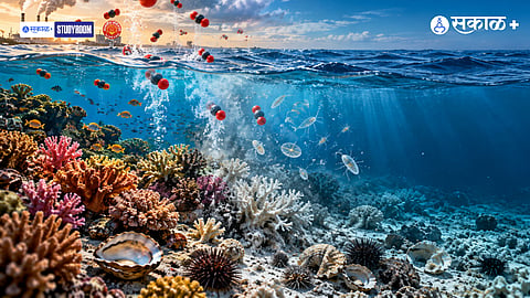 Ocean Acidification