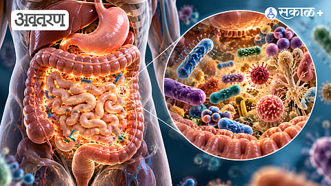Gut Microbiome 