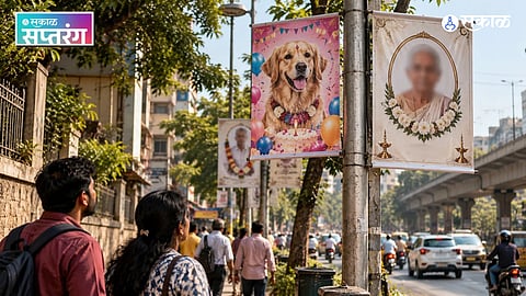 Hoardings on Public Streetlights 