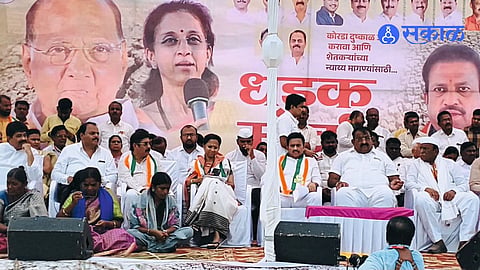 Maharashtra Drought Supriya Sule Demands Complete Farm Loan Waiver and Direct Financial Relief for Farmers in Pandharpur