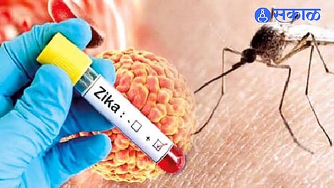 Zika Virus Pune Risk Continues NIV Study Detects Virus in Mosquito Groups and Finds Genetic Changes in Asian Lineage