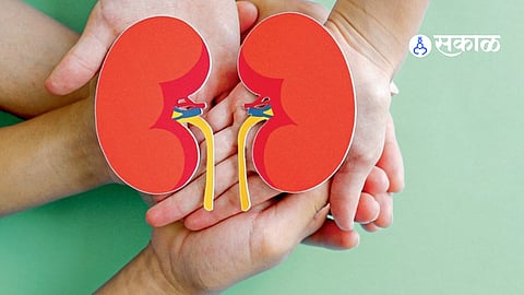 Hemolytic Uremic Syndrome (HUS): A Severe Pediatric Kidney Disorder