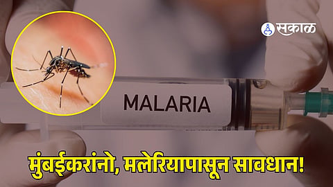Mumbai Malaria Cases