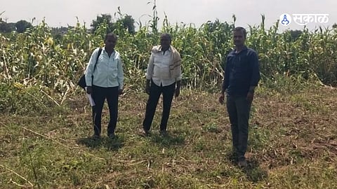 Mohol Crop Survey Software Glitch Delays 7 12 Updates Even After Approval Leaving Farmers Facing Loan Related Difficulties