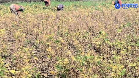 Drought Panchanama, Chhatrapati Sambhajinagar
