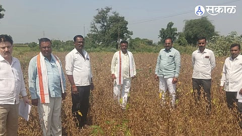 Sillod Farmers: दुष्काळाने पीक नेले; पंचनाम्याला कागदपत्रांचा डोंगर! पळशीत शेतकऱ्यांच्या नुकसानीची नोंद सुरू
