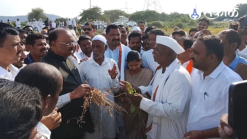 Chandrashekhar Bawankule visit to farmer drought agriculture loss
