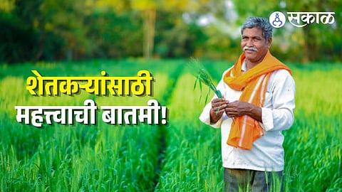 Maharashtra Crop Loan Update
