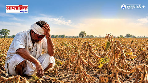 Maharashtra Drought 