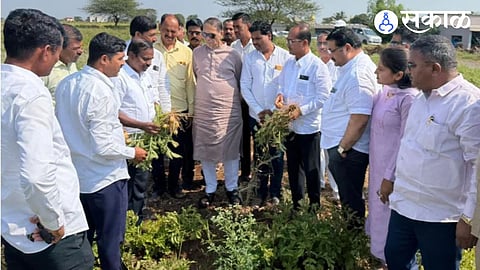 dilip walse patil visit farmer agriculture loss