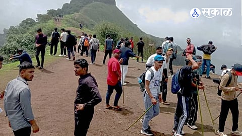 Various Flowers Blooming on Forts and Blanket of Fog; Tourists Crowd to See Historical Monuments