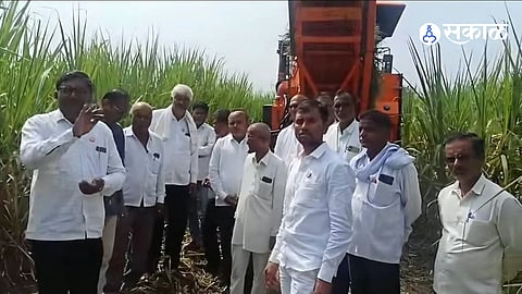 Sugarcane Farmers Demand Five Thousand Rupees First Payment as Swabhimani Farmers Protest Amid Drought in Dharashiv