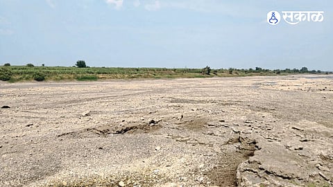 Ujani Dam Water Storage Reaches 97 Percent But Bhima River Runs Dry Farmers Seek Immediate Water Release Urgently to Save Crops
