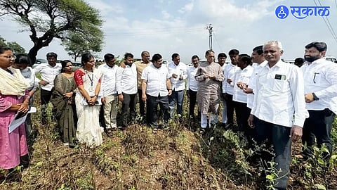 Dilip Walse Patil inspects drought-affected crops and interacts with farmers in Pabal and surrounding villages of Shirur taluka.