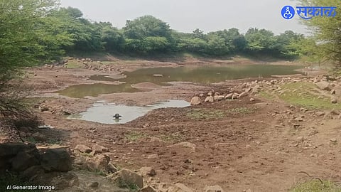 A dry government lake in Kasari village, Shirur taluka, highlights the worsening water shortage amid drought conditions.