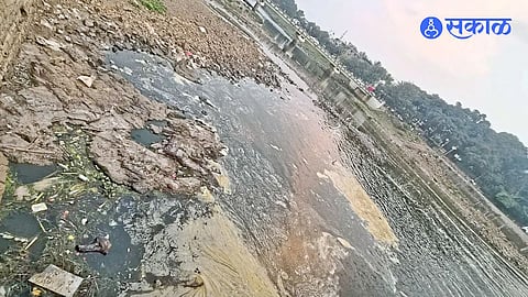 Alandi Indrayani River Pollution Sparks Concern Before Kartiki Wari With Sewage And Dead Fish In The River