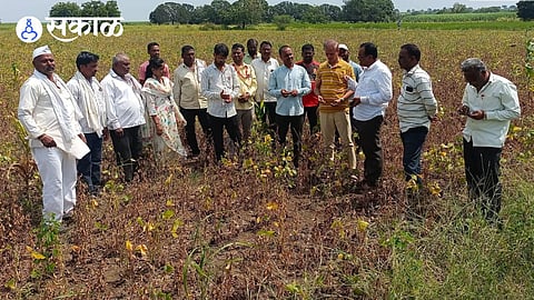 nilanga agriculture loss watching
