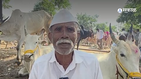 Farmers Face Financial and Emotional Loss