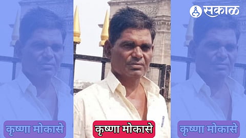 Krishna Mokase