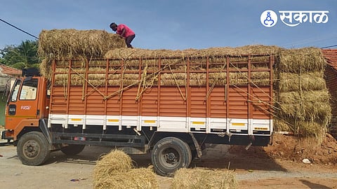 fodder shortage