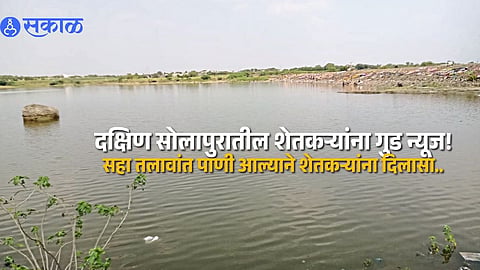 South Solapur Water Crisis Eases as Ujani Water Reaches Mandrup and Five Other Lakes for Farmers and Villagers