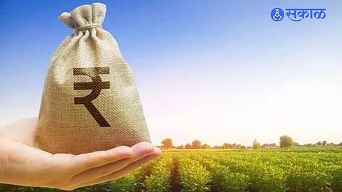 District administration directs banks to provide new crop loans to eligible farmers who benefited from loan waiver.