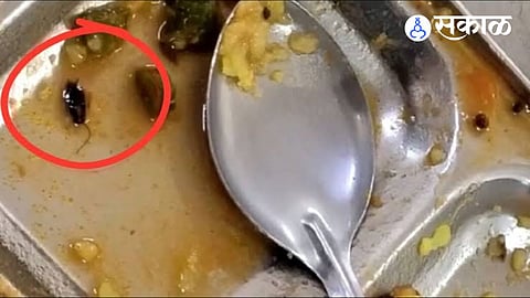 Cockroach in pune university girls hostel dining hall food