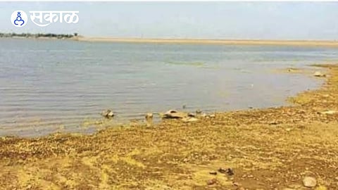 Nagapur wan Project