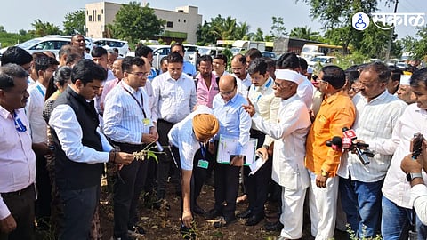 Soybean Crop Damage in Chhatrapati Sambhajinagar Central Team Visits Drought Hit Farms as Farmers Demand Financial Assistance