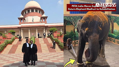 Madhuri Elephant News PETA India Supreme Court