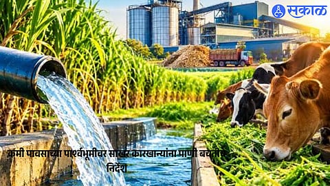 Kolhapur Collector Directs Sugar Factories to Conserve Water and Promote Sustainable Farming