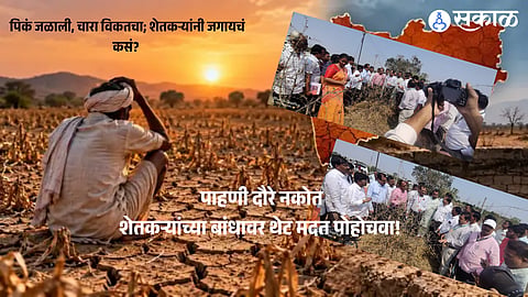 Central Team Inspects Drought-Hit Villages and Crop Damage in Mangalwedha, Solapur