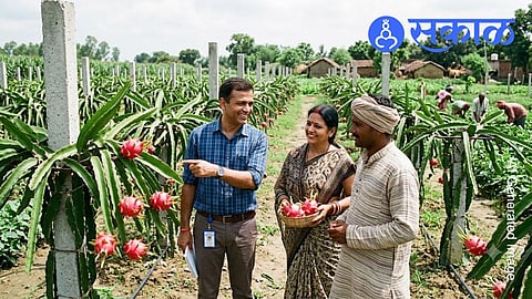 IIT graduate farming success story